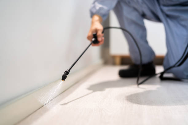 Licensed Pest Control service in Muenster, TX - Show Me Pest Control